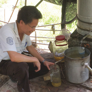 遵古法 香茅油傳統製程